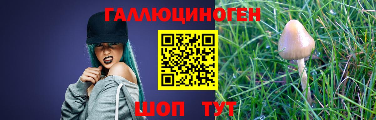 Псилоцибиновые грибы Magic Shrooms  Вход с VPN  Калининград 